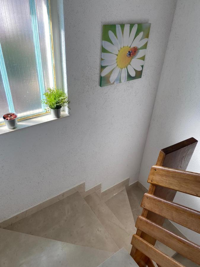Comfort Apartments تروغير المظهر الخارجي الصورة